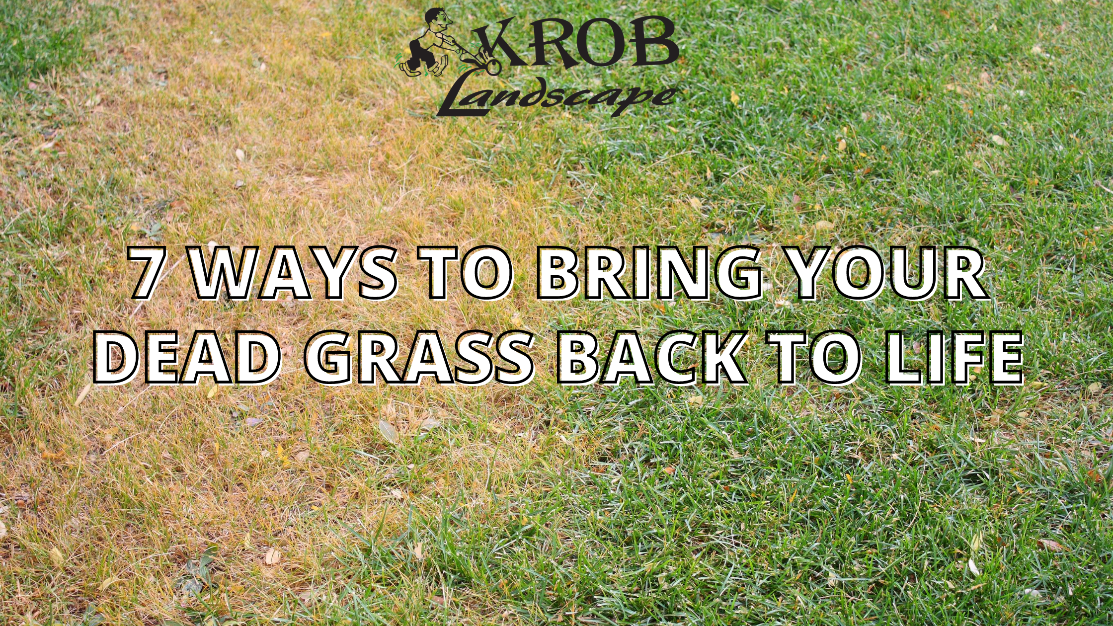 7 ways to bring your dead grass back to life.png